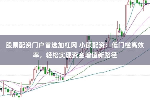 股票配资门户首选加杠网 小额配资：低门槛高效率，轻松实现资金增值新路径