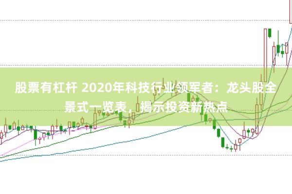 股票有杠杆 2020年科技行业领军者：龙头股全景式一览表，揭示投资新热点