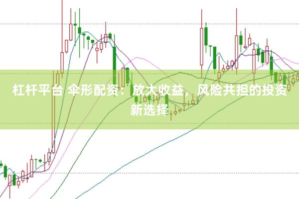 杠杆平台 伞形配资：放大收益，风险共担的投资新选择