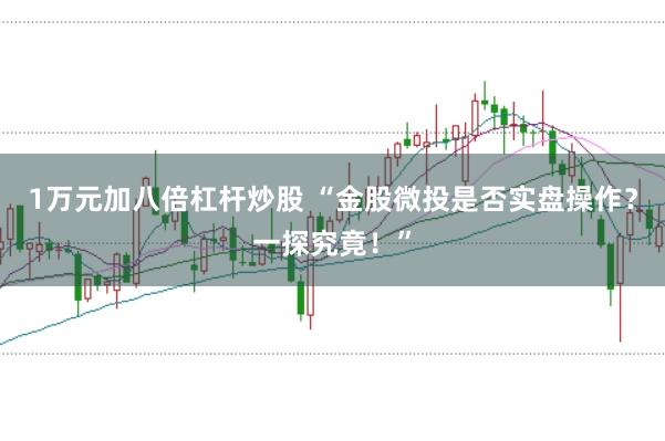 1万元加八倍杠杆炒股 “金股微投是否实盘操作？一探究竟！”
