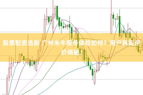 股票配资选股 广州米牛服务体验如何？用户真实评价揭秘！