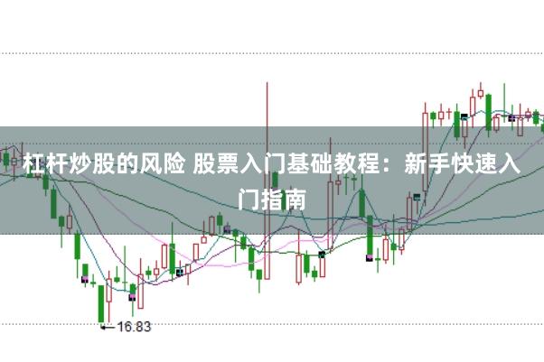 杠杆炒股的风险 股票入门基础教程：新手快速入门指南