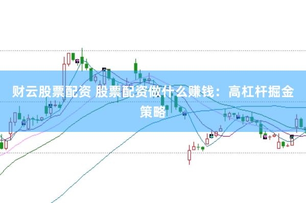财云股票配资 股票配资做什么赚钱：高杠杆掘金策略