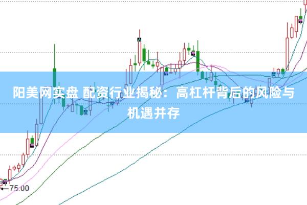 阳美网实盘 配资行业揭秘：高杠杆背后的风险与机遇并存