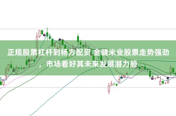 正规股票杠杆到杨方配资 金健米业股票走势强劲，市场看好其未来发展潜力股