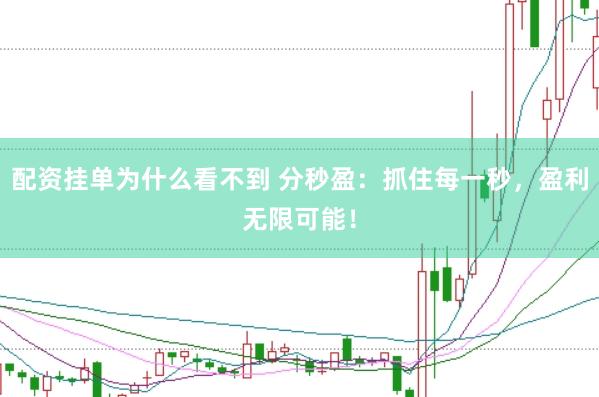 配资挂单为什么看不到 分秒盈：抓住每一秒，盈利无限可能！
