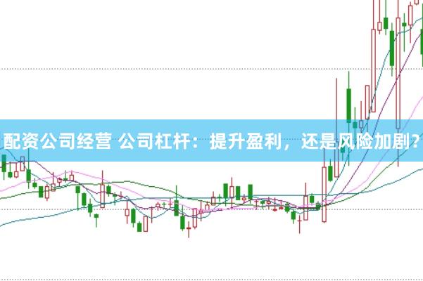 配资公司经营 公司杠杆：提升盈利，还是风险加剧？