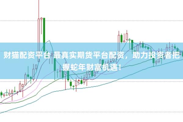 财猫配资平台 最真实期货平台配资，助力投资者把握蛇年财富机遇！