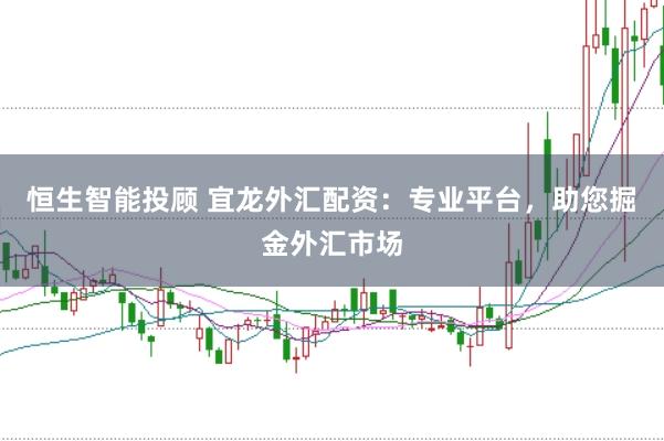 恒生智能投顾 宜龙外汇配资：专业平台，助您掘金外汇市场