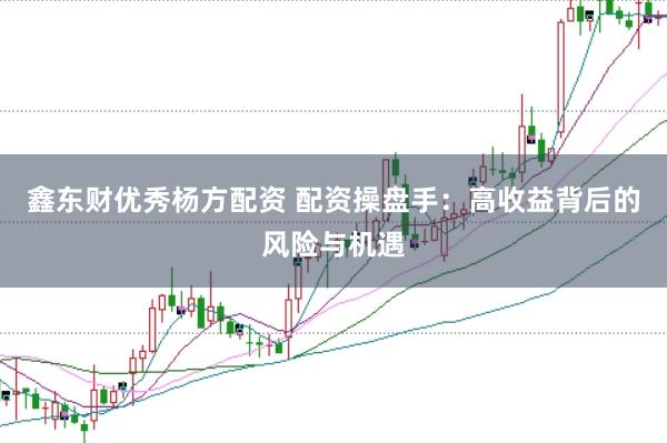 鑫东财优秀杨方配资 配资操盘手：高收益背后的风险与机遇