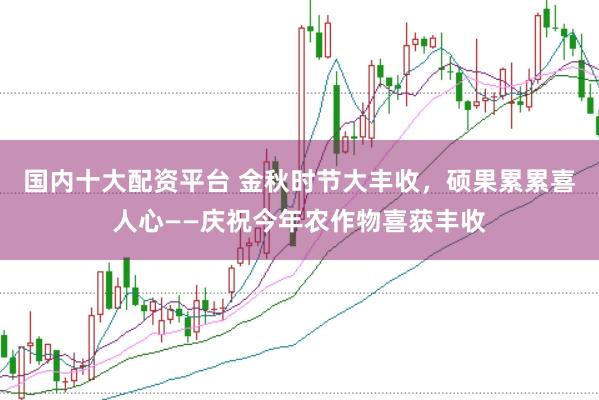 国内十大配资平台 金秋时节大丰收，硕果累累喜人心——庆祝今年农作物喜获丰收