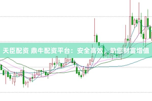 天臣配资 鼎牛配资平台：安全高效，助您财富增值