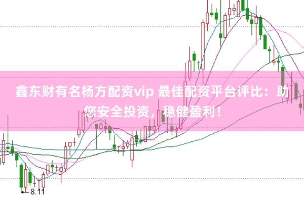 鑫东财有名杨方配资vip 最佳配资平台评比：助您安全投资，稳健盈利！