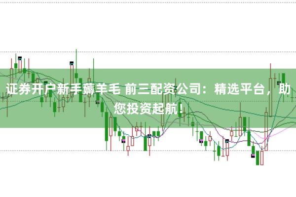 证券开户新手薅羊毛 前三配资公司：精选平台，助您投资起航！