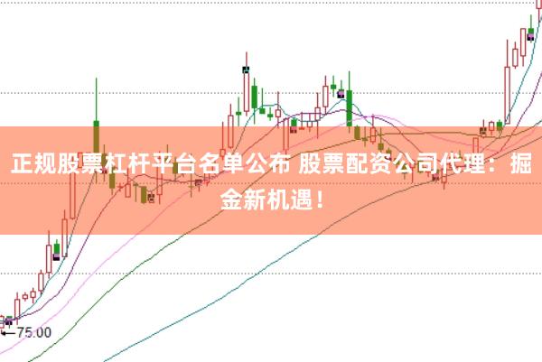 正规股票杠杆平台名单公布 股票配资公司代理：掘金新机遇！