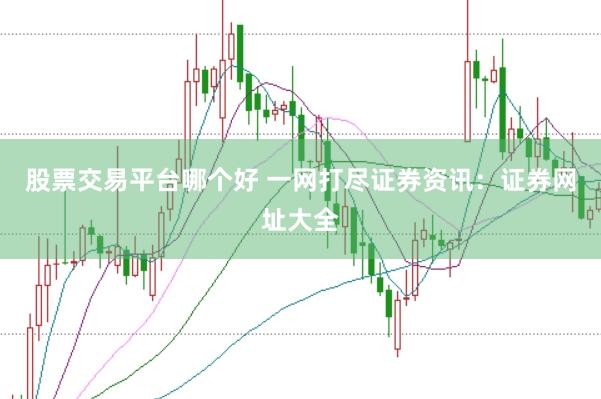 股票交易平台哪个好 一网打尽证券资讯：证券网址大全