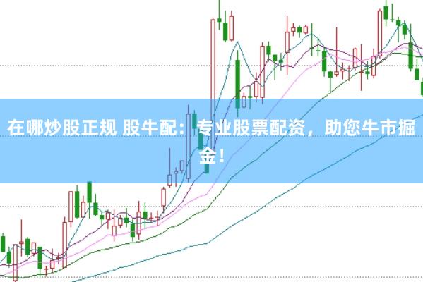 在哪炒股正规 股牛配：专业股票配资，助您牛市掘金！