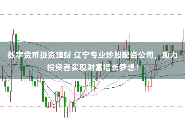 数字货币投资理财 辽宁专业炒股配资公司，助力投资者实现财富增长梦想！