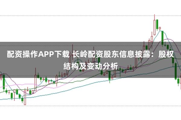 配资操作APP下载 长岭配资股东信息披露：股权结构及变动分析