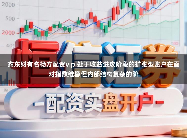 鑫东财有名杨方配资vip 处于收益进攻阶段的扩张型账户在面对指数维稳但内部结构复杂的阶