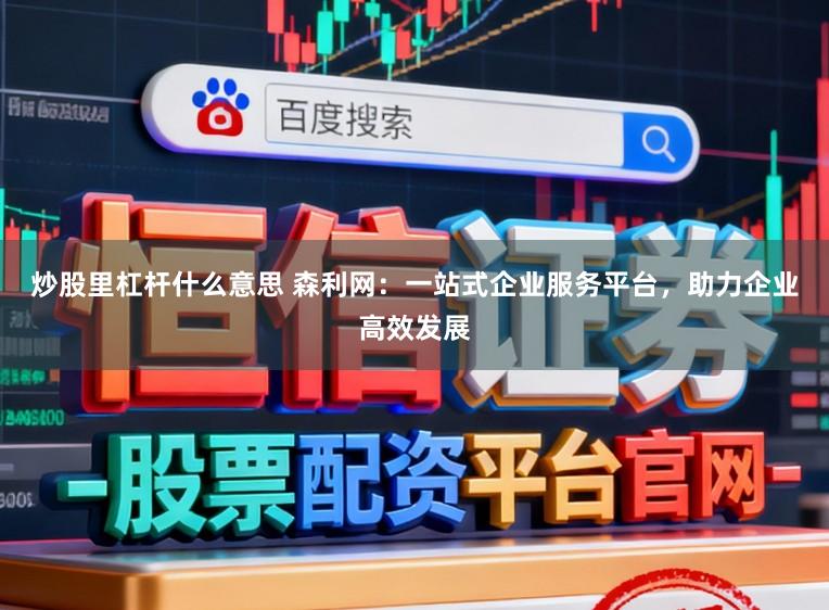 炒股里杠杆什么意思 森利网：一站式企业服务平台，助力企业高效发展