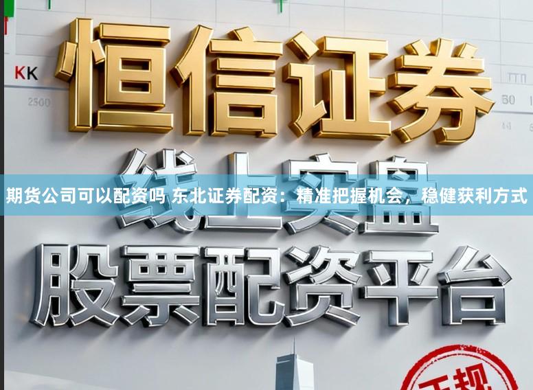 期货公司可以配资吗 东北证券配资：精准把握机会，稳健获利方式