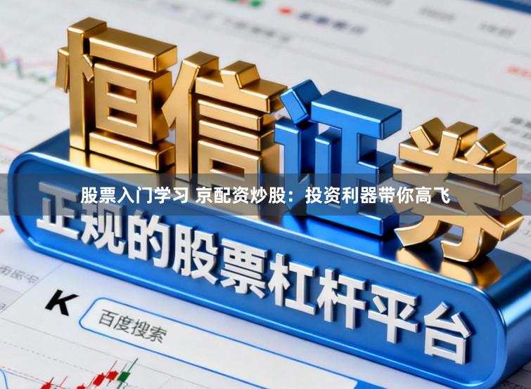 股票入门学习 京配资炒股：投资利器带你高飞
